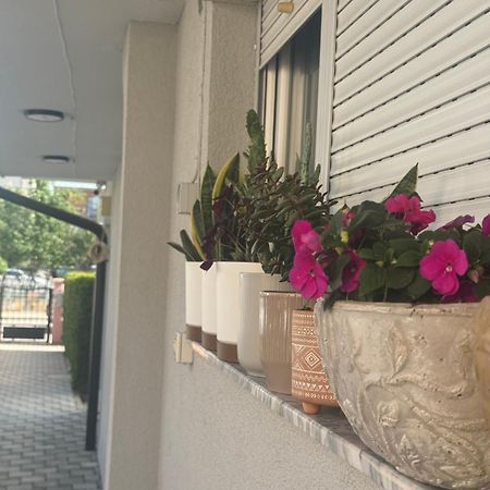 Vila Bolonja ستروغا المظهر الخارجي الصورة